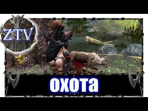Скайрим мод hunterborn