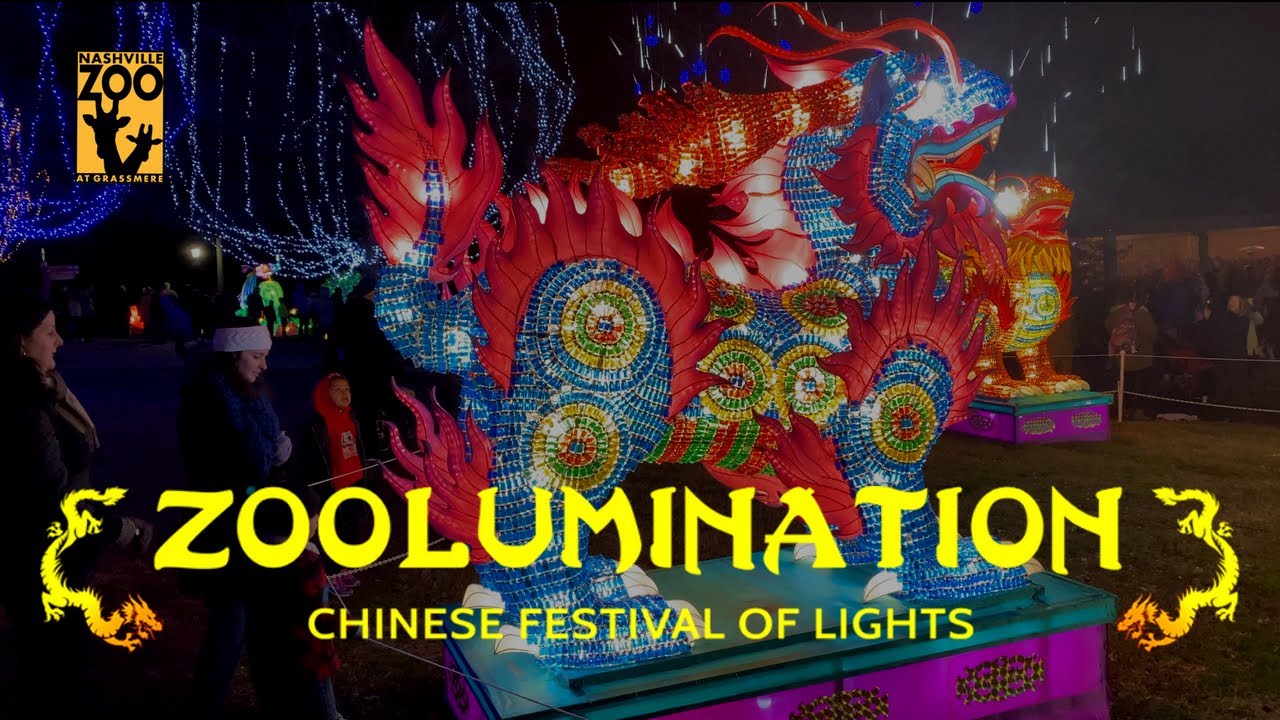 ZOOLUMINATION at the Nashville ZooShot on iPhone 11 Pro YouTube