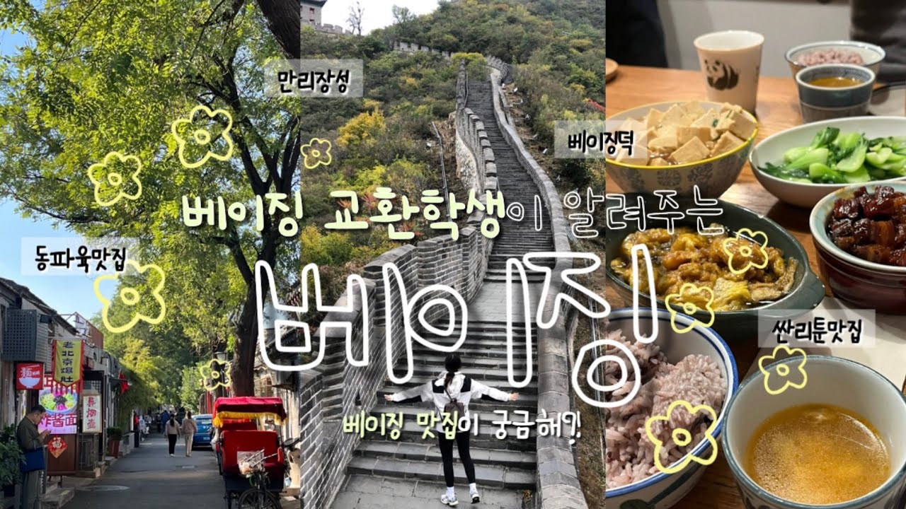 베이징 맛집이 궁금해⁉️ 중국 교환학생이 알려주는 베이징 맛집 | 동파육 맛집 | 싼리툰 맛집 | 왕푸징 맛집 |