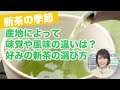 【新茶の季節】産地によって味覚や風味の違いは？好みの新茶の選び方