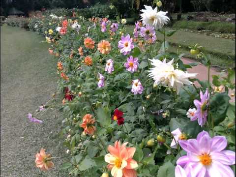 Mahada Gagana Thale - Chandana Liyanarachchi video thumbnail