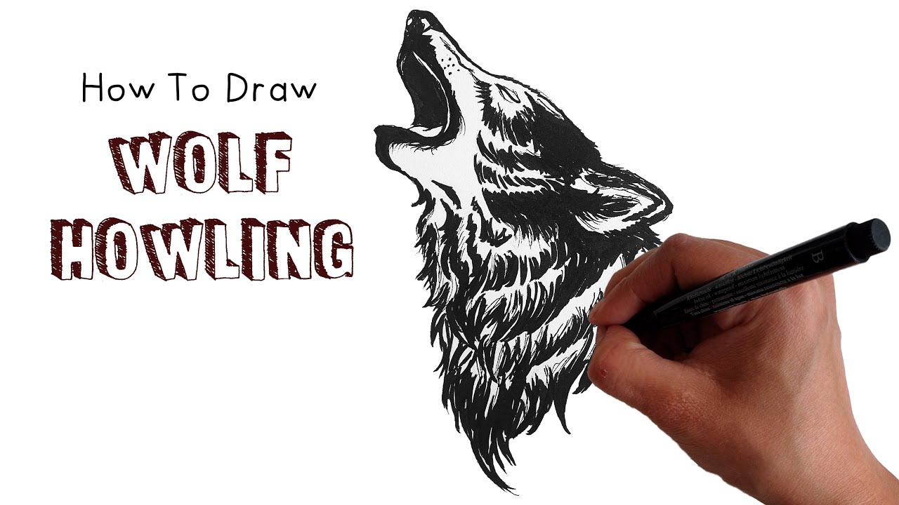 Illustration line art howling wolf in the night moon logo design  inspiration vector 14993254 Vector Art at Vecteezy