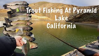 Hooking Up On Some Rainbow Trout On Jigs At Pyramid Lake California #fishing #troutfishing