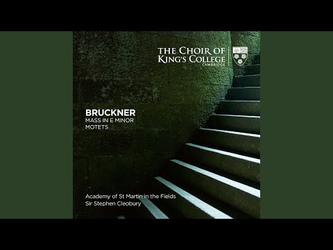 Putar Mass No. 2 in E Minor, WAB 27: V. Benedictus - Stephen Cleobury