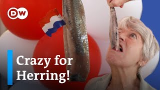 Why the Dutch LOVE herring | The Netherlands’ Best Street Food