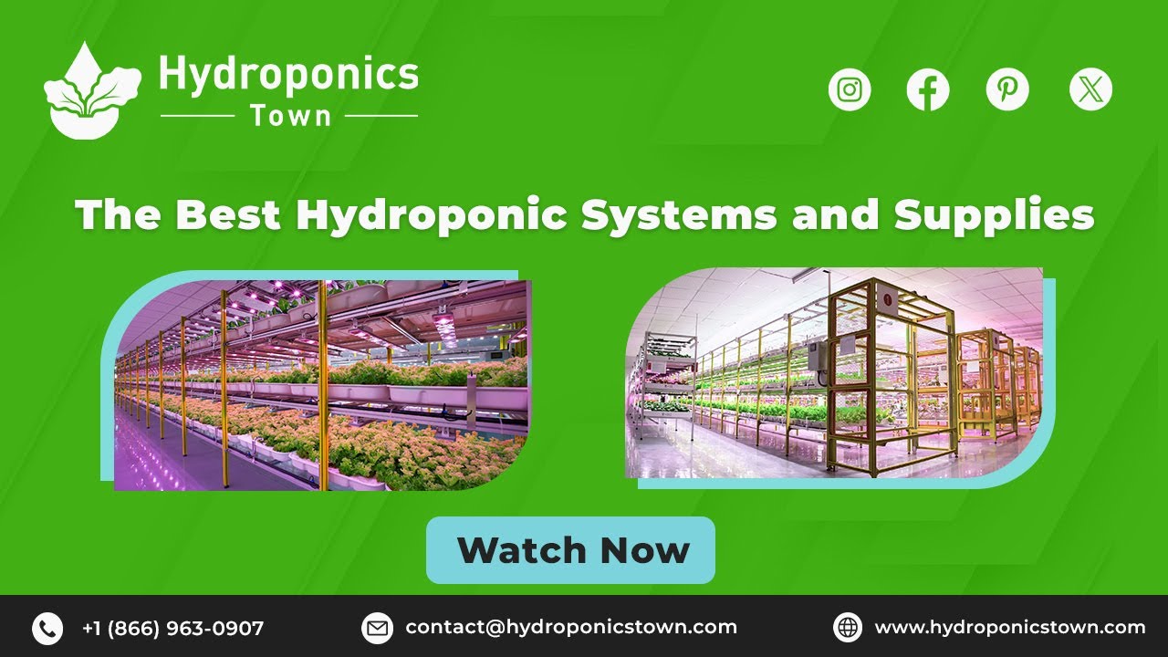 The Best Hydroponic Systems and Supplies | Hydroponics Town