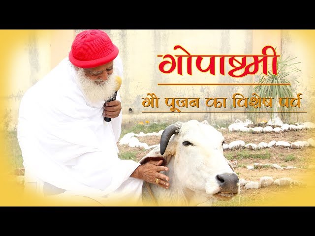 गोपाष्टमी - गौ पूजन का विशेष पर्व । Sant Shri AsharamJi Bapu