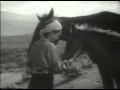 あんこい仔馬