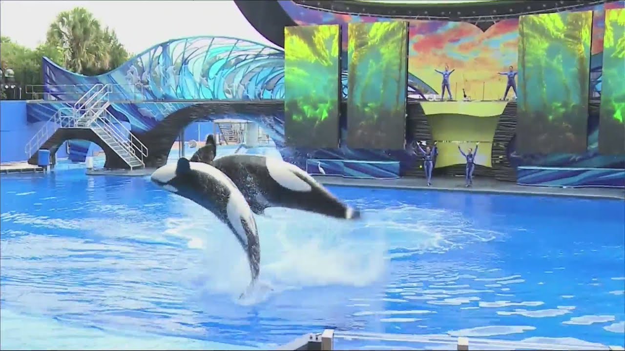 Seaworld to reopen June 11