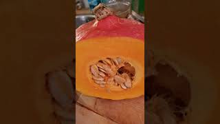 Beadave - Koken Als Medicijn - Rob Buser