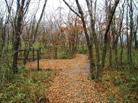 강성 Always Kpop 韓國歌謠