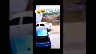 الكلاب تنبح والقافلة لا تسير ??