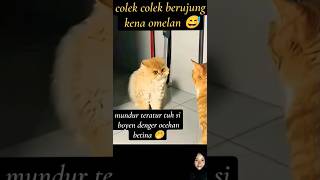 jangan coba coba #lucu