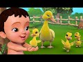 Quack Quack Quack হাঁসের গান | Bengali Rhymes for Children |