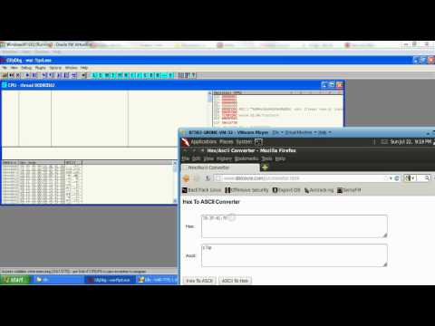 INFA 725 - WarFTP Exploit