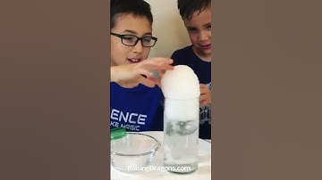 Smoking Bubbles Dry Ice Experiment 💨 ages 3+ 💨 Super Cool Experiment for Kids and Adults!