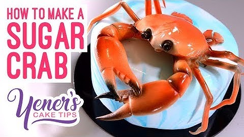 Hoe maak je een SUIKERKRAB Tutorial | Yeners Cake Tips met Serdar Yener van Yeners Way
