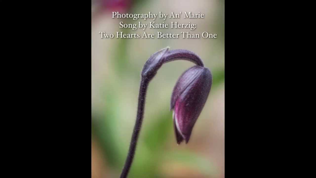 Two Hearts Photography by An' Marie YouTube