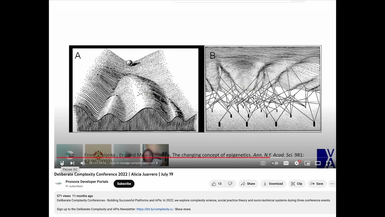 Clip: Look Under The Contextual Terrain to Change Energy Flow - Waddington's Epigenetic Landscape