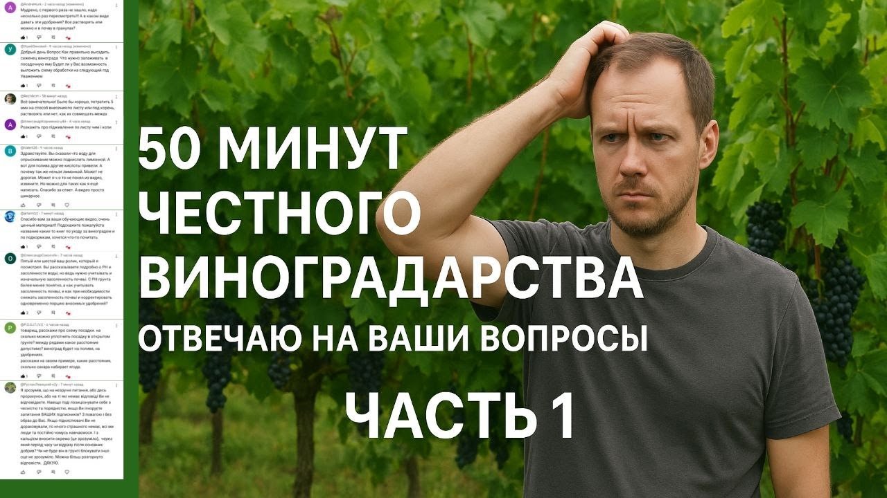 50 минут честного виноградарства . Отвечаю на ваши вопросы  ЧАСТЬ 1