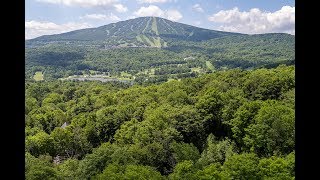 Summer on Stratton Mountain