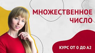 Множественное Число Существительных в Испанском. Урок 7 [Курс Испанского Языка]