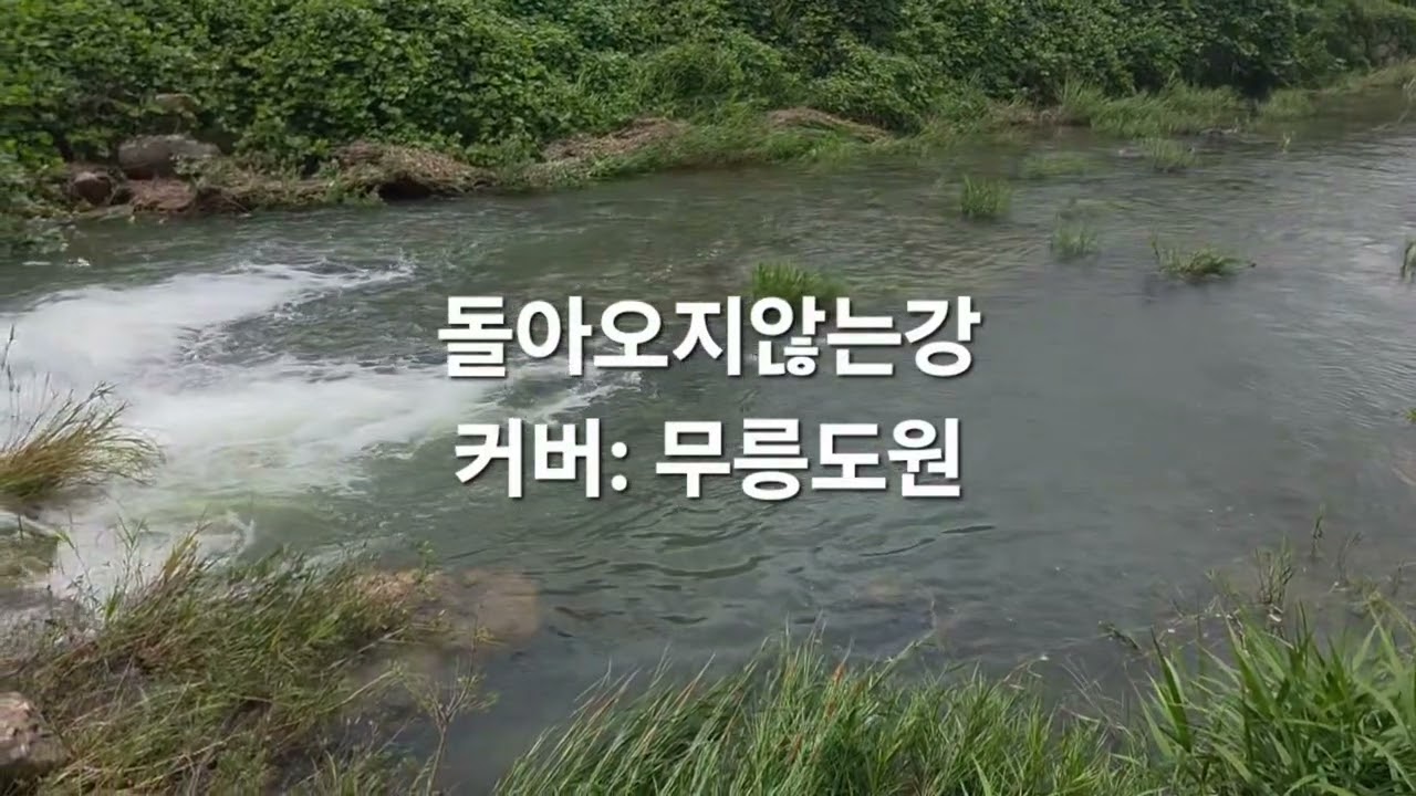 돌아오지않는강 # 커버 # 무릉도원 