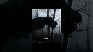 When The World Belonged To These 3