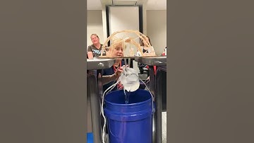 Toothpick bridge Time Lapse