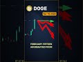 DOGE market view — February 15