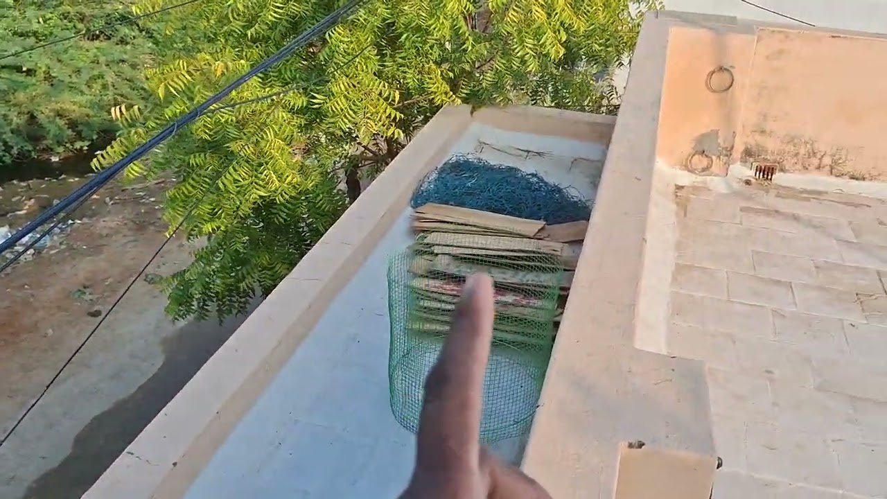 Hi friends 🧡 Today’s update – How many apple boxes do I have? 📦 #BNANIMALSSHOP