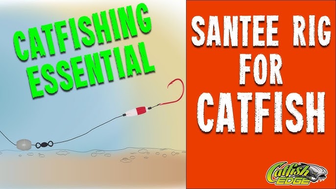 (5) Santee Cooper Catfish Rigs / Leaders --Sinker Slide--Beads--Circle Hooks