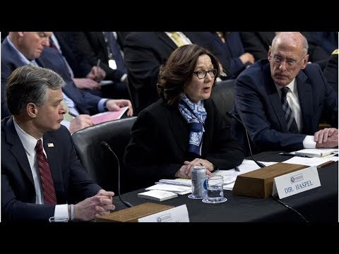 Dan Coats, Gina Haspel, Chris Wray ‘threat assessment’ refutes Trump claims trump amazonia