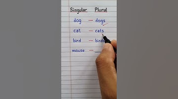 Singular and Plural | Part 11 | #grammar