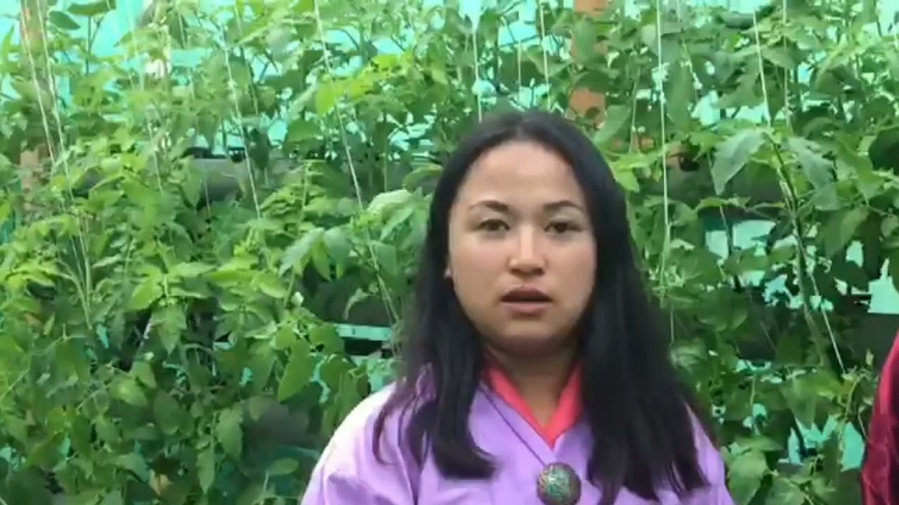 Dagana Youths Training On Hydroponics By Bhutan Hydroponics Youtube