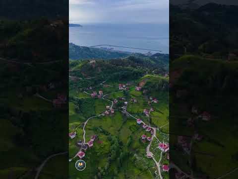 #YazlıkKöyü قرية يازلك كوي