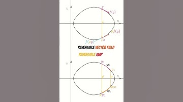 Reversible vector fields and maps