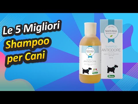 Video: Che tipo di shampoo è meglio per il tuo cane?