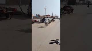 Burywala Citi Mashla Beautiful View Short