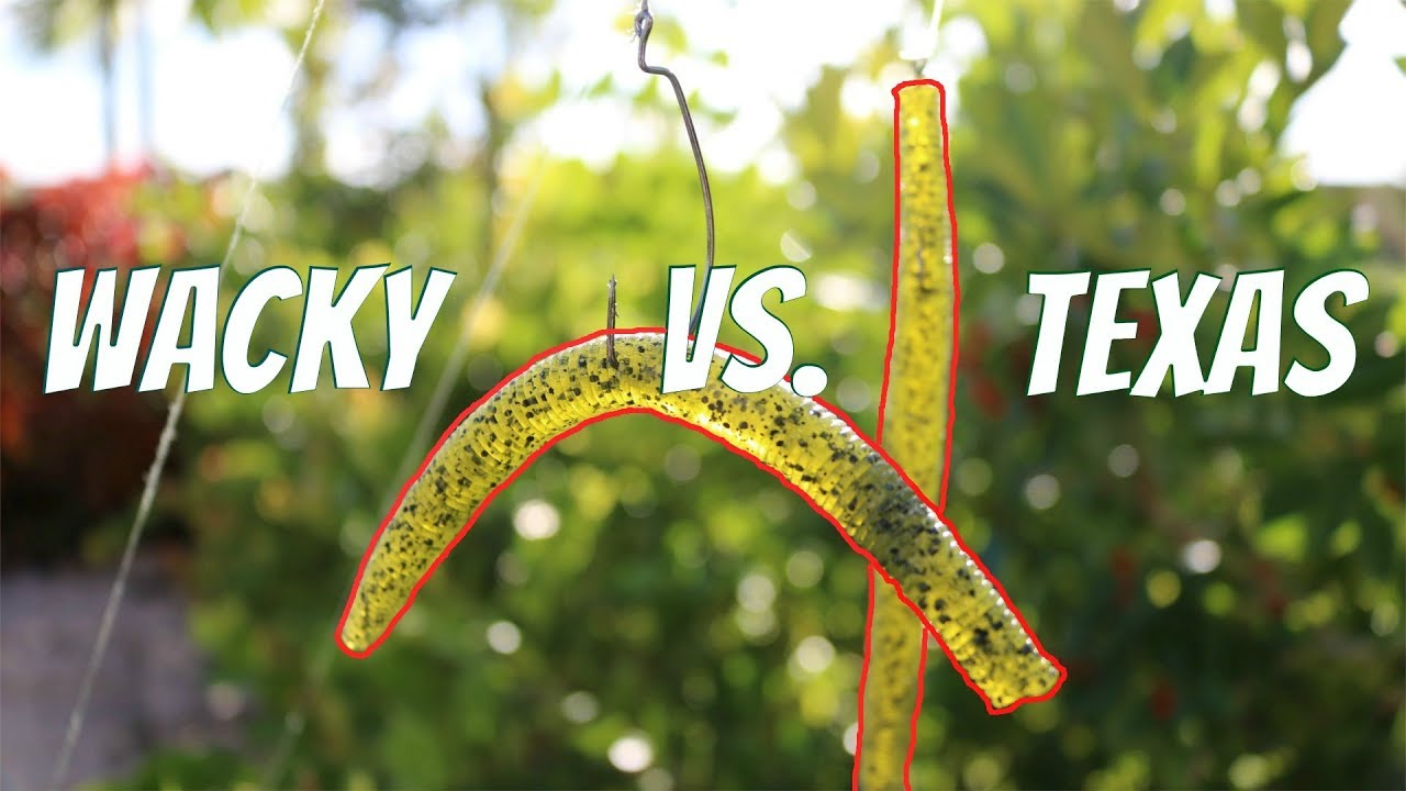 WACKY RIG VS. TEXAS RIG SENKO - Which one works better? 