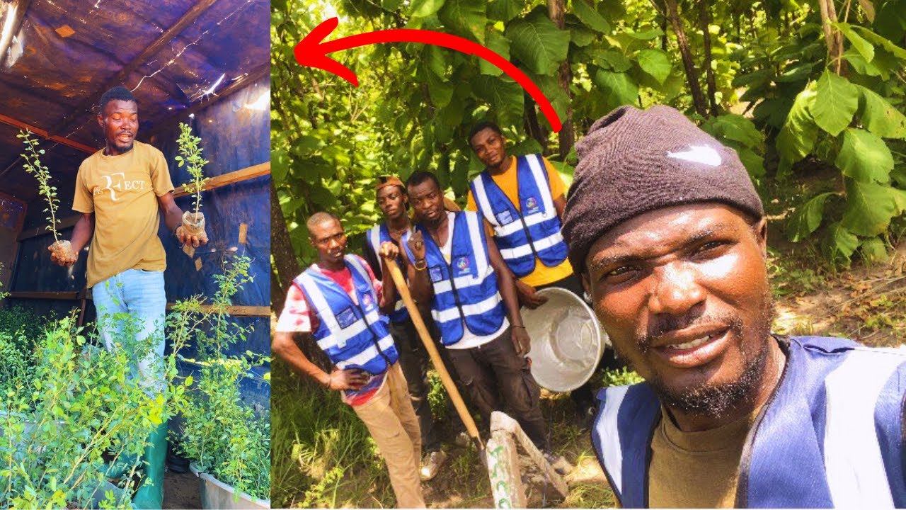 Comment Clôturer 2 ha en 1 jour Avec du Campeche ???