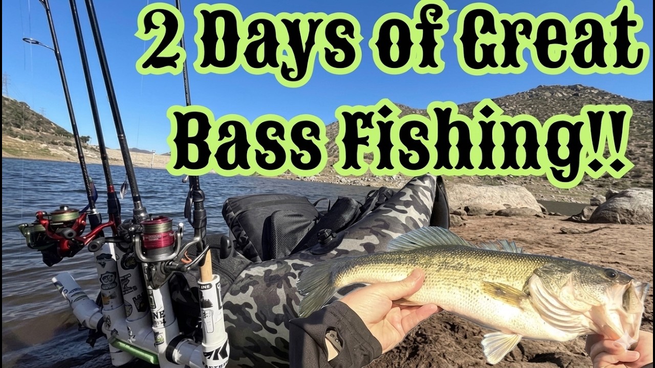 2 Days of Excellent Bass Fishing in Southern California!! Great time on the water at El Capitan!