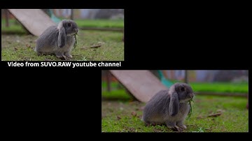 Test Color Arri Alexa(DaVinci Resolve)