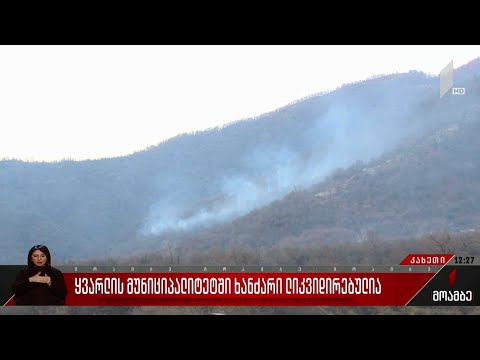 ყვარლის მუნიციპალიტეტში ხანძარი ლიკვიდირებულია