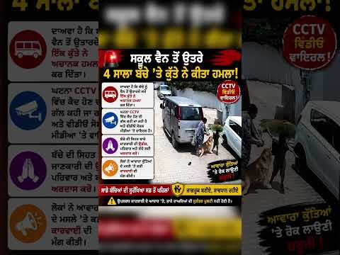 news today panjab dogs