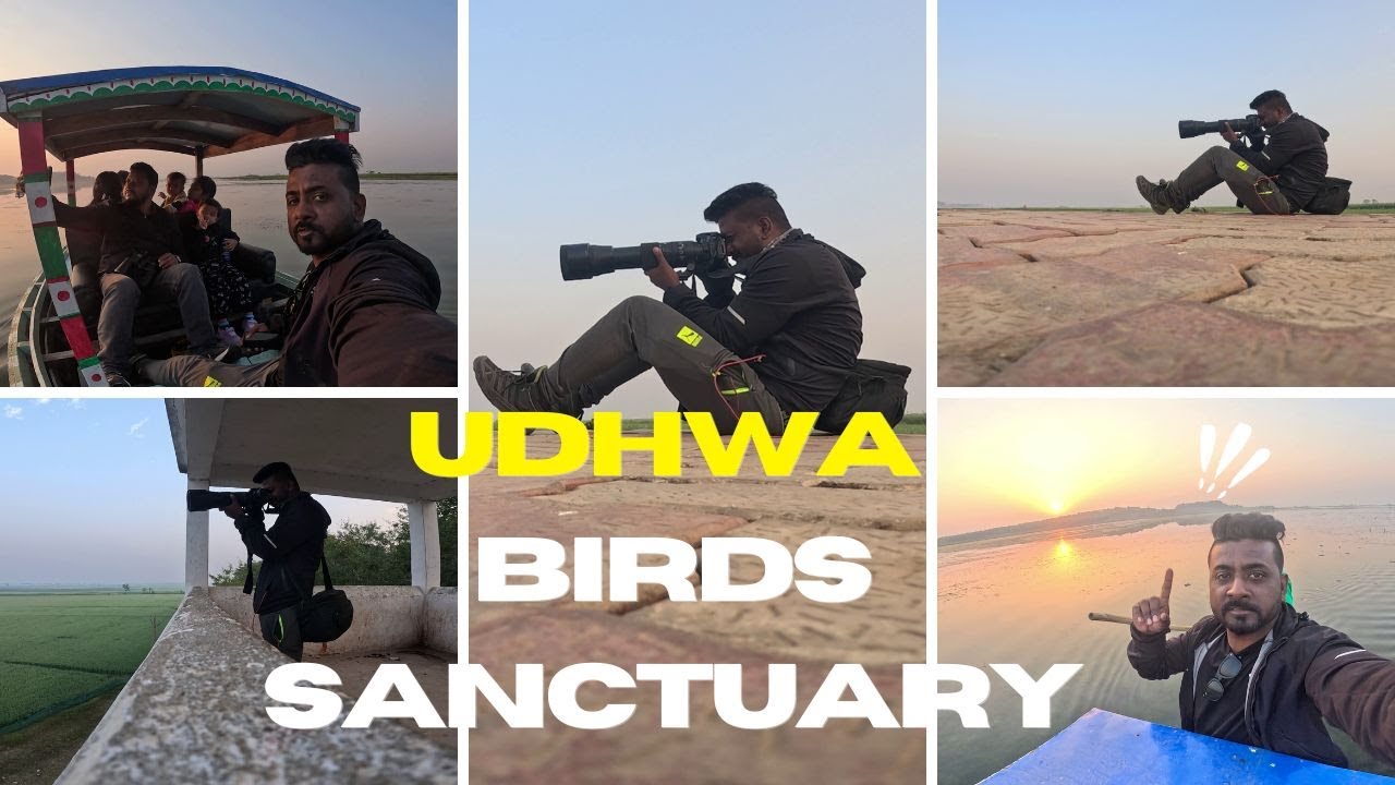 UDHWA VLOGS BIRDS SANCTUARY WILDLIFE BIRDS PHOTOGRAPHY