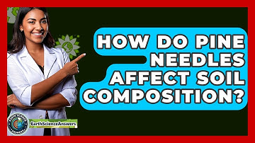 How Do Pine Needles Affect Soil Composition? - Earth Science Answers