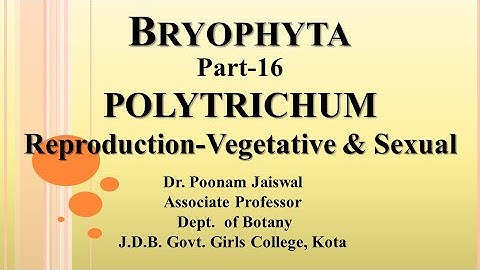 Dr. Poonam Jaiswal, Bryophyta Part-16, Polytrichum -Reproduction