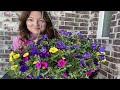 Fake vs Real Flowers Comparison (Can You Tell?) | Artificial Flowers for Outdoors, UV Resistant Fake