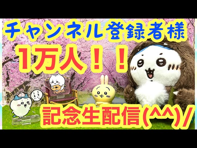 ちいかわ】チャンネル登録者様1万人突破記念生配信＾＾いつも